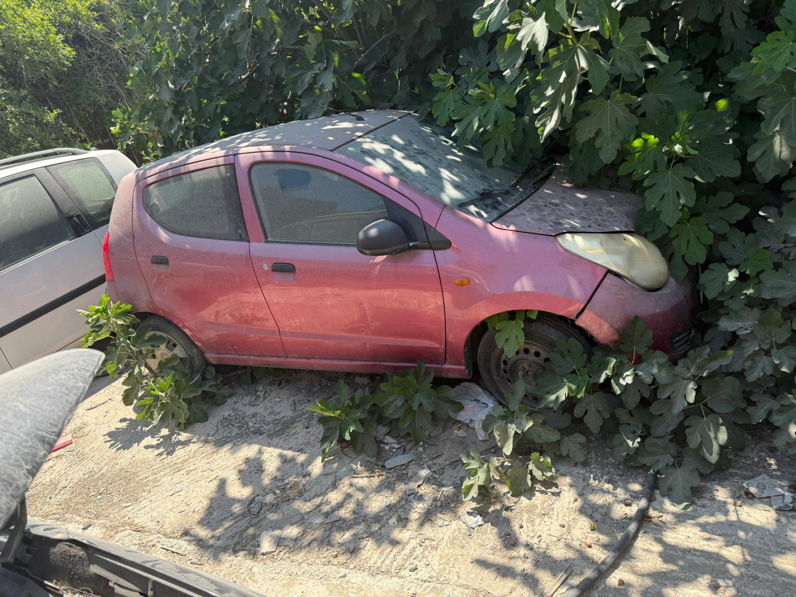 גלריה – תמונה 12