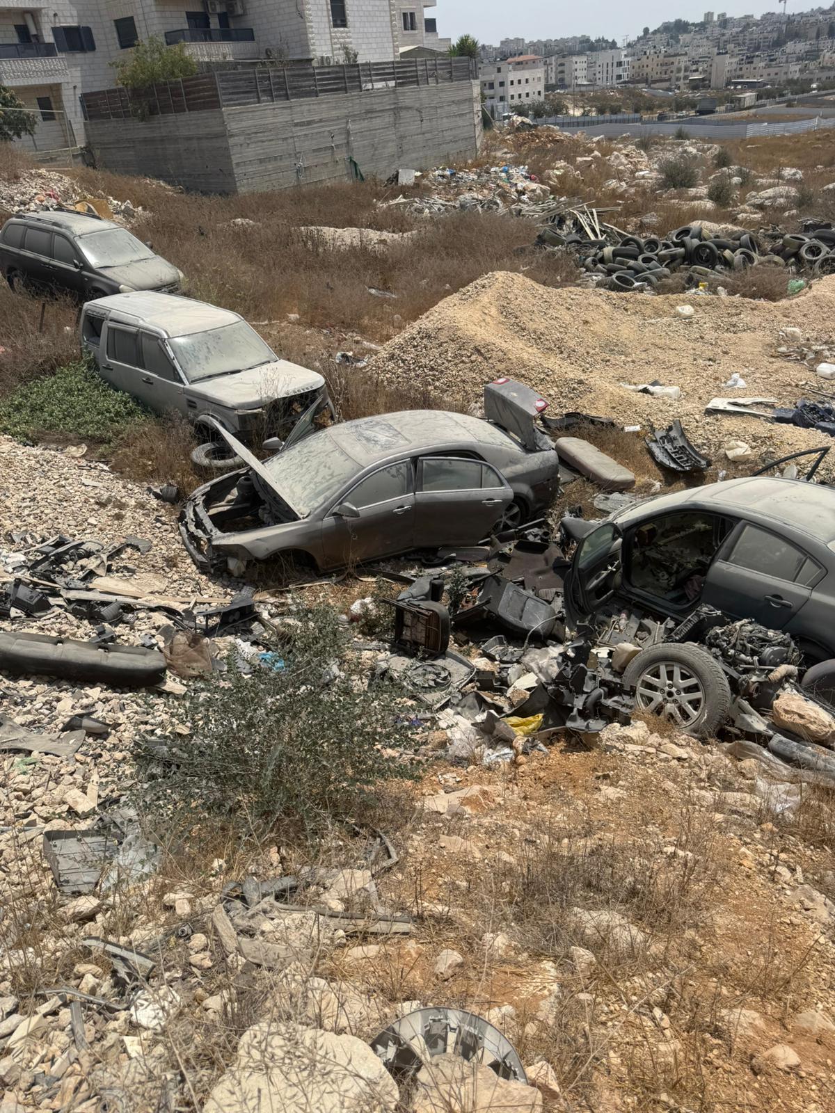 גלריה – תמונה 13